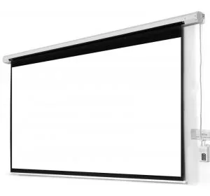 Electric Projector Screen (240x240cm)